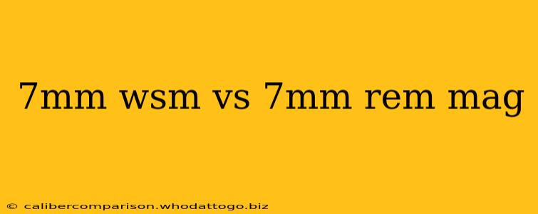 7mm wsm vs 7mm rem mag