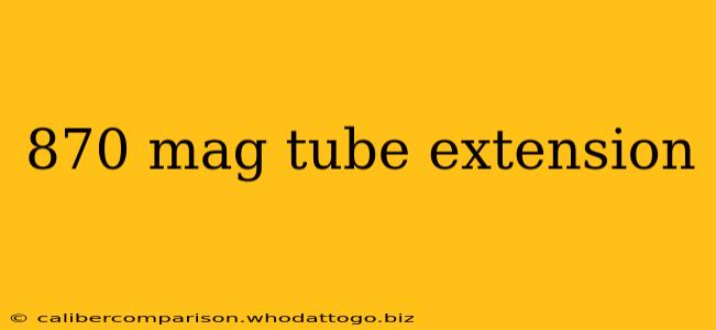 870 mag tube extension