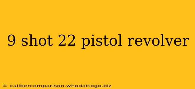 9 shot 22 pistol revolver