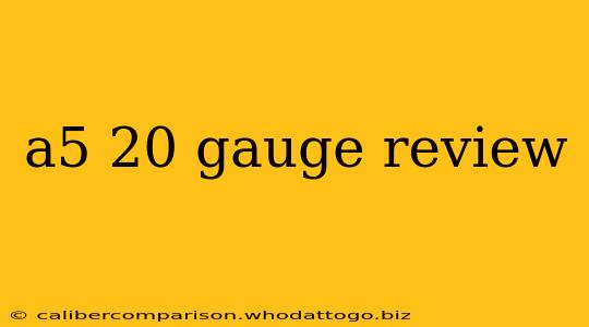 a5 20 gauge review