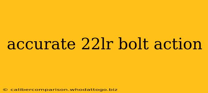 accurate 22lr bolt action