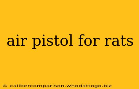 air pistol for rats