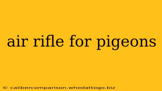 air rifle for pigeons