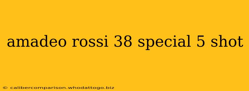 amadeo rossi 38 special 5 shot