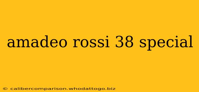 amadeo rossi 38 special