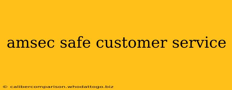 amsec safe customer service