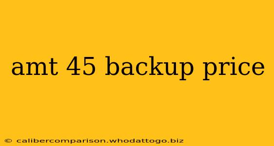 amt 45 backup price