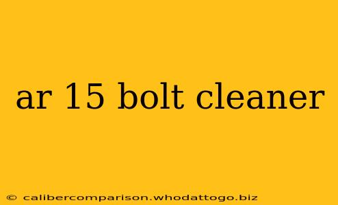 ar 15 bolt cleaner