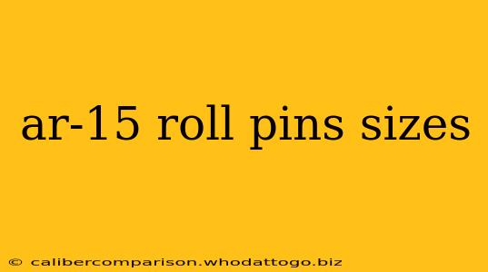 ar-15 roll pins sizes