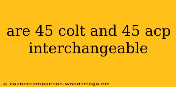 are 45 colt and 45 acp interchangeable