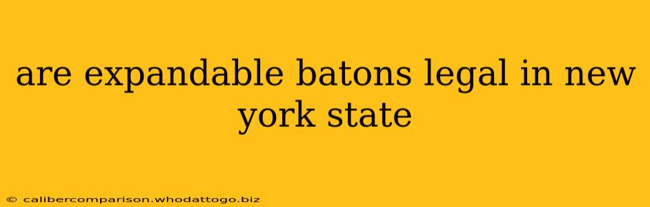 are expandable batons legal in new york state