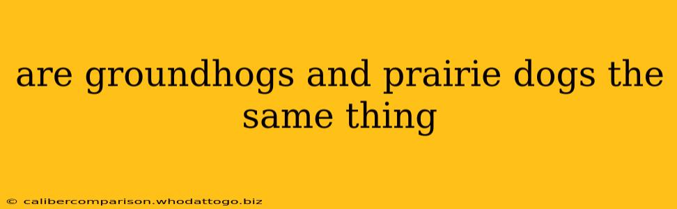 are groundhogs and prairie dogs the same thing