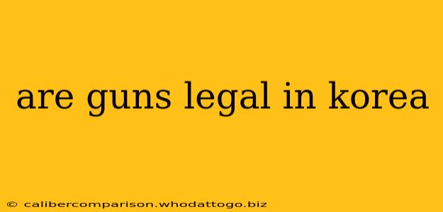 are guns legal in korea