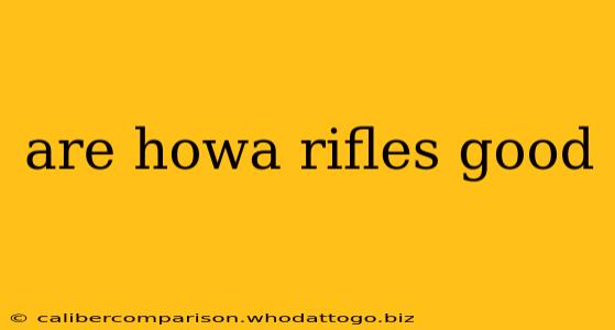 are howa rifles good