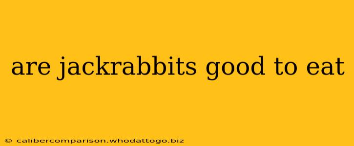 are jackrabbits good to eat