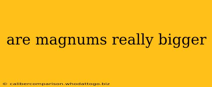 are magnums really bigger