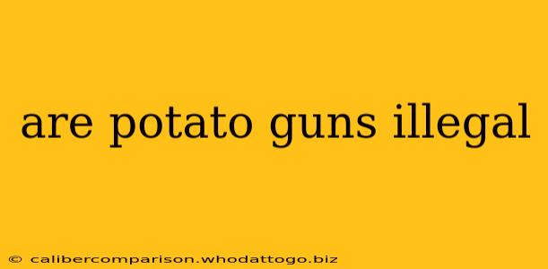 are potato guns illegal