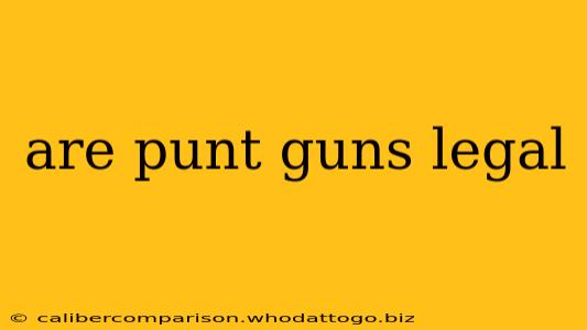 are punt guns legal