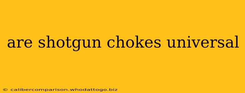 are shotgun chokes universal