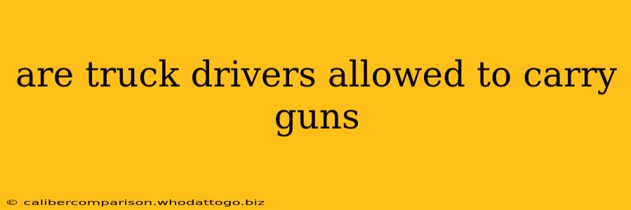 are truck drivers allowed to carry guns