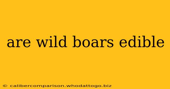 are wild boars edible