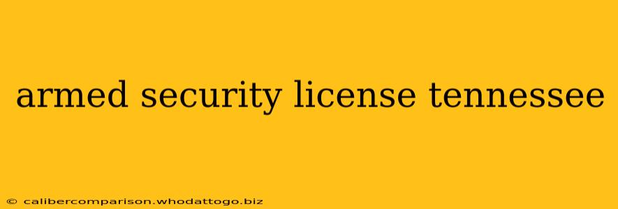 armed security license tennessee