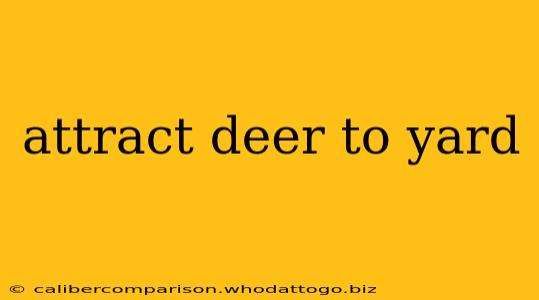 attract deer to yard