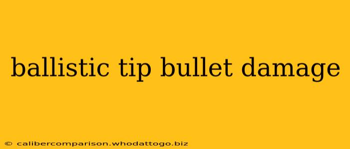 ballistic tip bullet damage