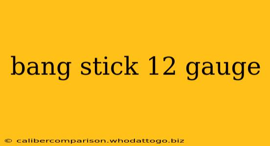 bang stick 12 gauge