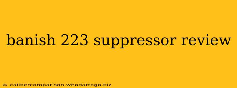 banish 223 suppressor review