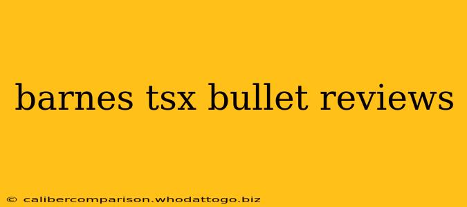 barnes tsx bullet reviews