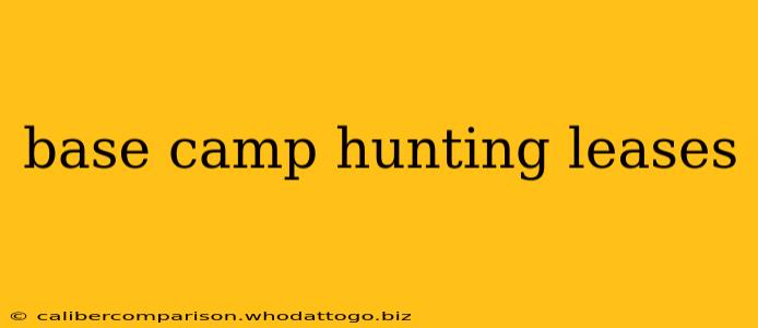 base camp hunting leases