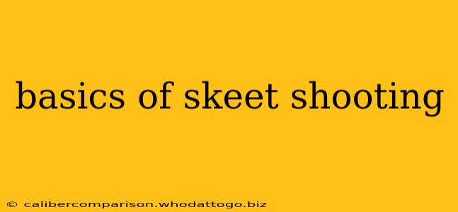 basics of skeet shooting