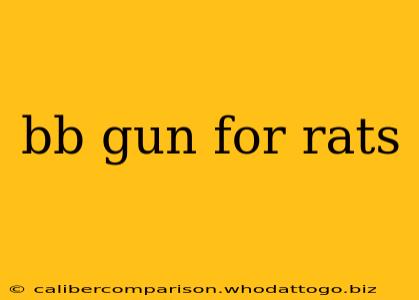 bb gun for rats