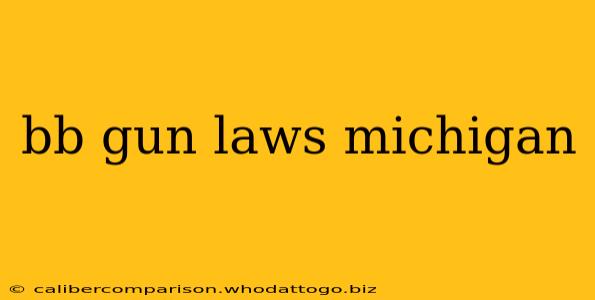 bb gun laws michigan