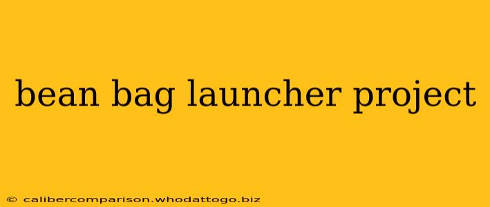 bean bag launcher project