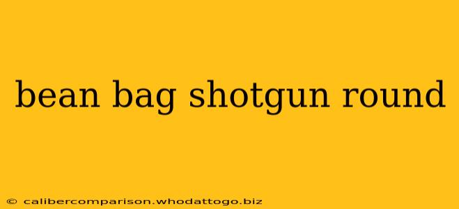 bean bag shotgun round