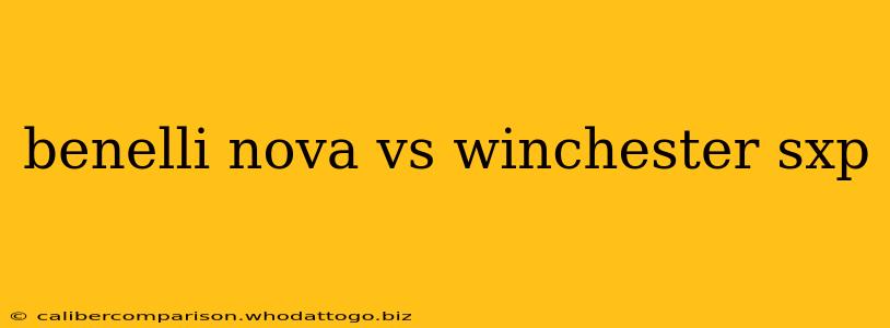 benelli nova vs winchester sxp