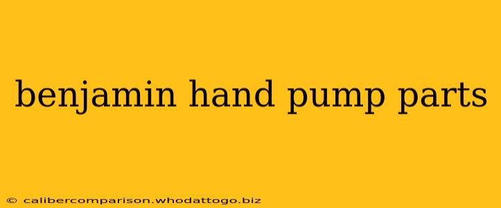 benjamin hand pump parts