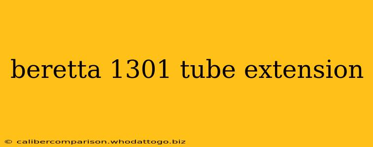 beretta 1301 tube extension