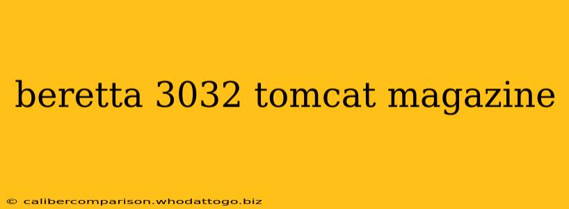 beretta 3032 tomcat magazine