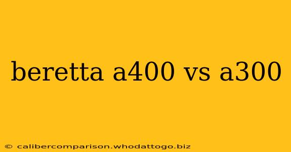 beretta a400 vs a300