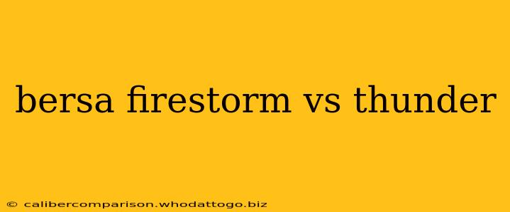 bersa firestorm vs thunder