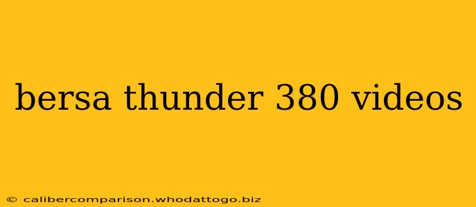 bersa thunder 380 videos