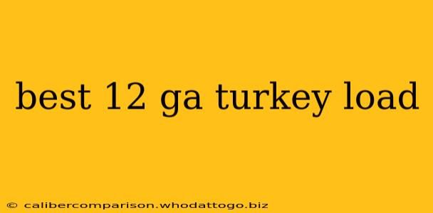 best 12 ga turkey load