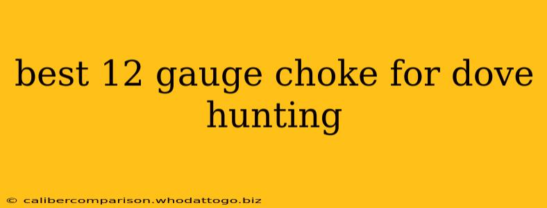 best 12 gauge choke for dove hunting