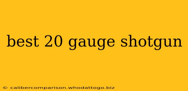 best 20 gauge shotgun