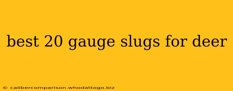 best 20 gauge slugs for deer