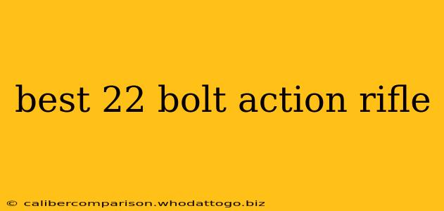 best 22 bolt action rifle