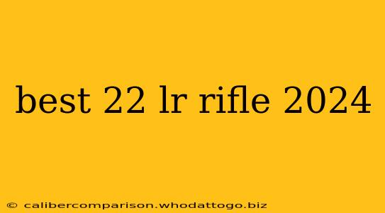 best 22 lr rifle 2024